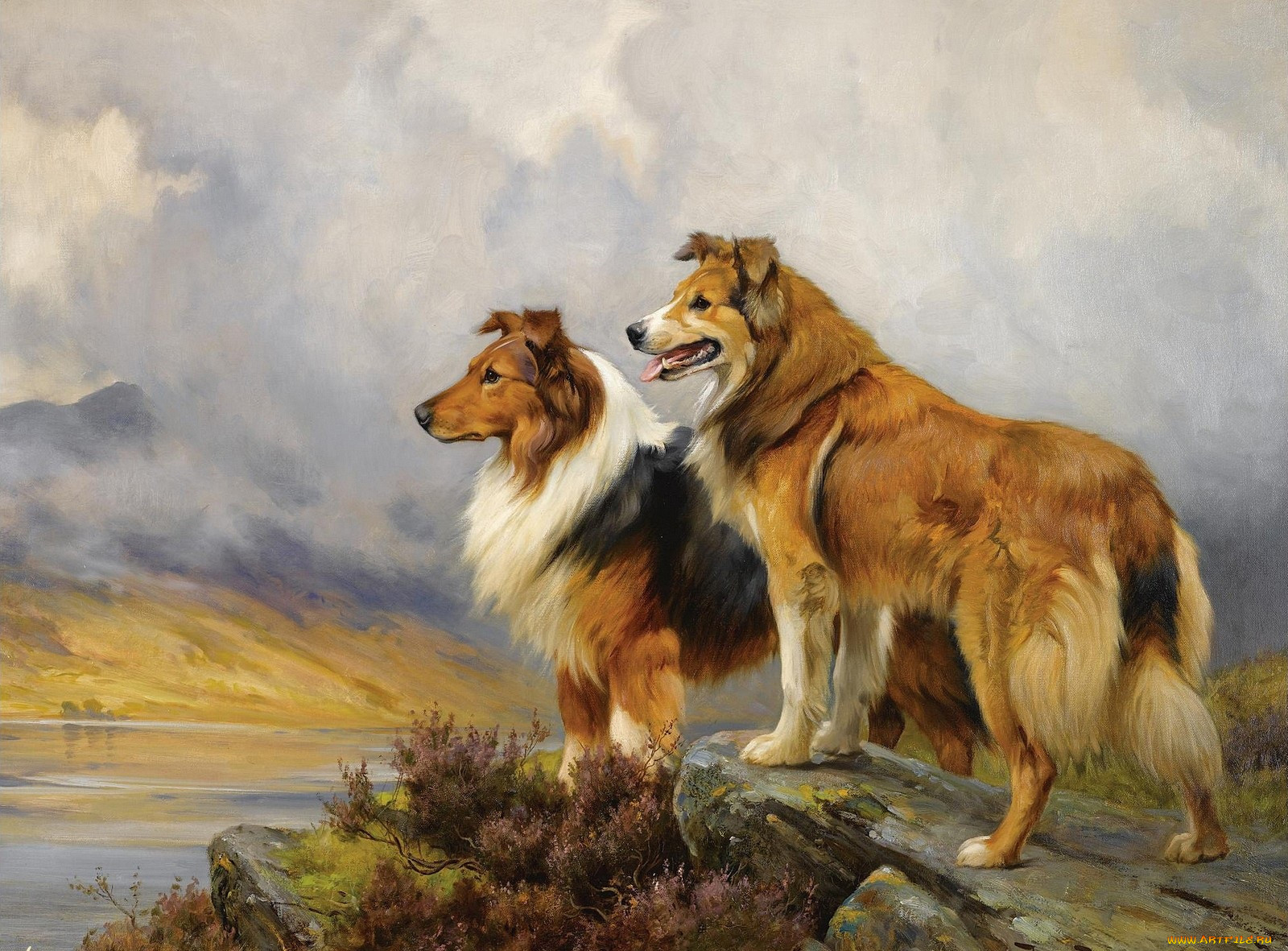 , wright, barker